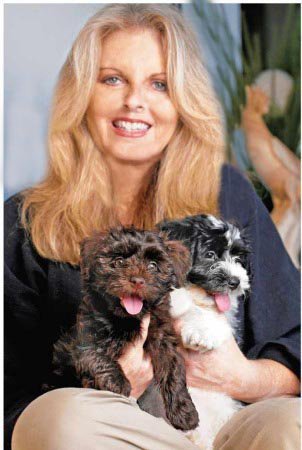 Canyon Hills Havanese  Puppies Image