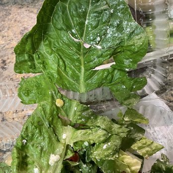 Giardino Gourmet Salads - Mama Mia - Salad Near Me - Davie, Florida Giardino Gourmet Salads - Mama Mia - Salad Near Me - Davie, Florida