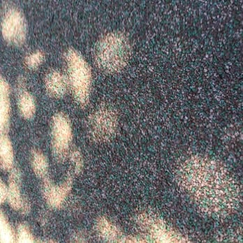 Fort Natomas - Turf is good but because of heat smells like burnt rubber - Parks Near Me - Sacramento, California Fort Natomas - Turf is good but because of heat smells like burnt rubber - Parks Near Me - Sacramento, California