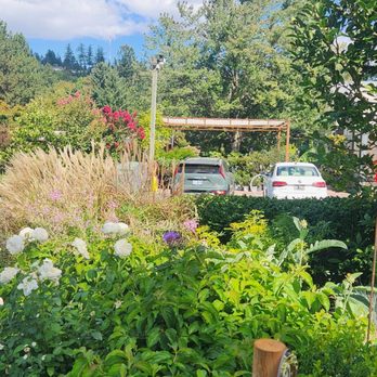 Cornell Farm - Nurseries & Gardening Near Me - Portland, Oregon