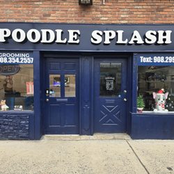 Poodle Splash