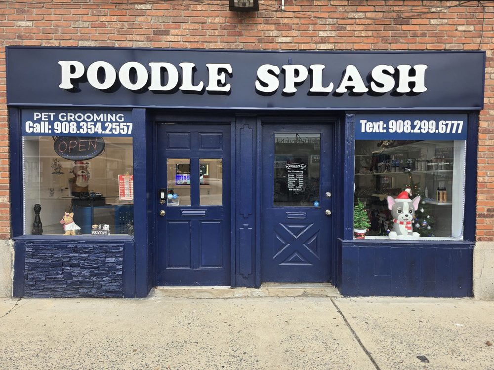Poodle Splash