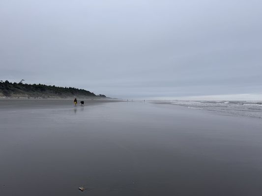 Kalaloch Campground by null