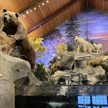 Cabela's - Hunting & Fishing Supplies Near Me - Avon, Ohio