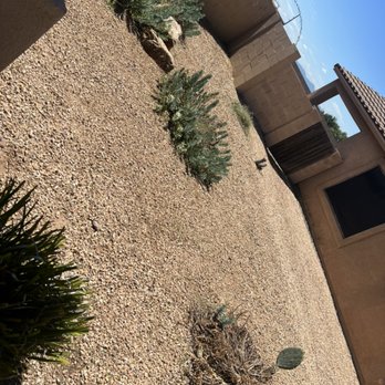 1. Lopez Landscaping and Irrigation Repairs and Replacement