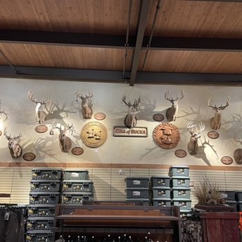 Bass Pro Shops - Outdoor Gear Near Me - San Jose, California
