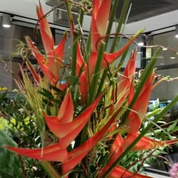 Blumen Grün Punkt