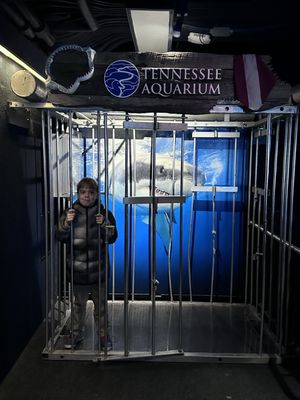 Tennessee Aquarium by null