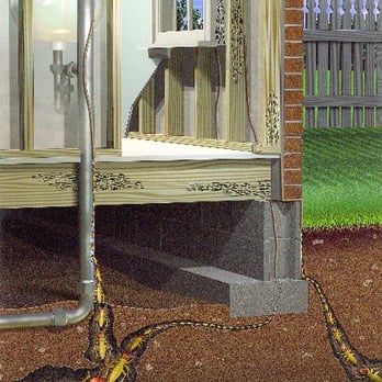Pyramid Exterminators & Wildlife Control - Termite Entry - Pest Control Near Me - Duluth, Georgia Pyramid Exterminators & Wildlife Control - Termite Entry - Pest Control Near Me - Duluth, Georgia