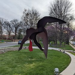Backflip Park - Backflip Park, Webster Groves MO