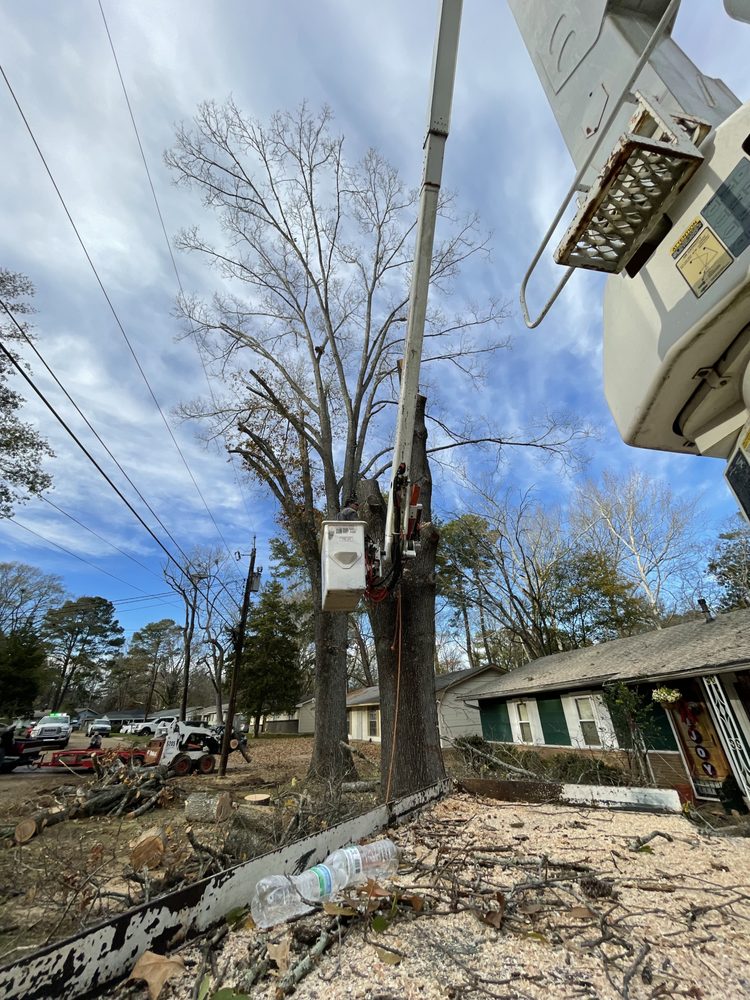 Southern Hospitality Land - tree service in Lena, MS