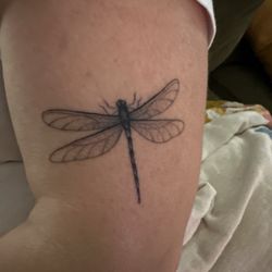 Dragonfly tattoo