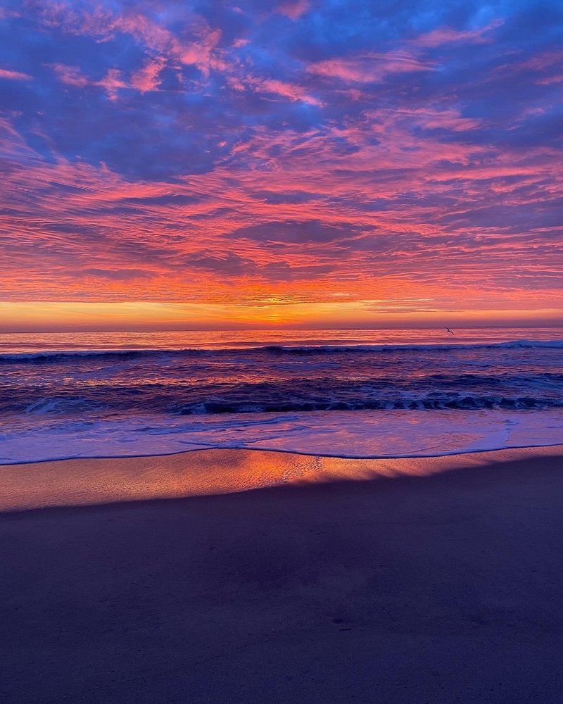 BRICK BEACH 3 Updated September 2024 440 NJ35, Mantoloking, New