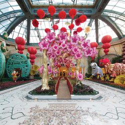 Bellagio Conservatory & Botanical Garden