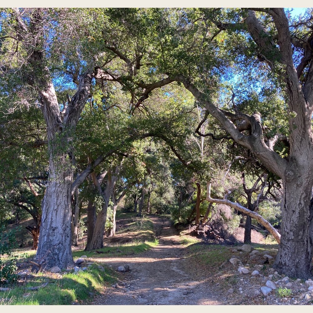 Elsmere Canyon - The trail that leads into my heart. lol - Hiking Near Me - Santa Clarita, California