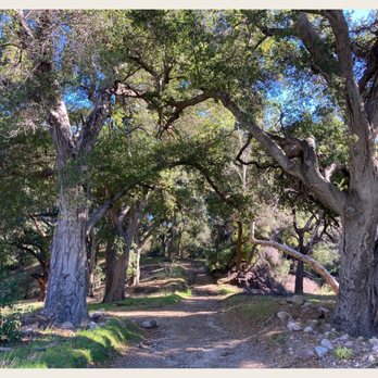 Elsmere Canyon - The trail that leads into my heart. lol - Hiking Near Me - Santa Clarita, California Elsmere Canyon - The trail that leads into my heart. lol - Hiking Near Me - Santa Clarita, California