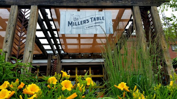 Maine Grain Alliance by null