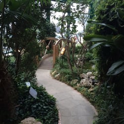 Kräuterhaus Sanct Bernhard - Selbst dieser kleine Dschungel gehört zum Verkaufsraum ...