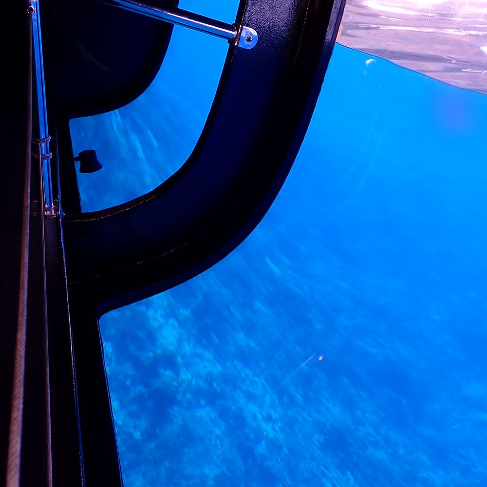 Four Winds Molokini Maui Snorkel Tour - Super large and brand new glass bottom boat allows fun viewing of the marine life out the window.  Very cool, fun for the kids and adults! - Snorkeling Near Me - Maalaea, Hawaii