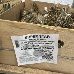 Soil Service Garden Center - Onion sets!