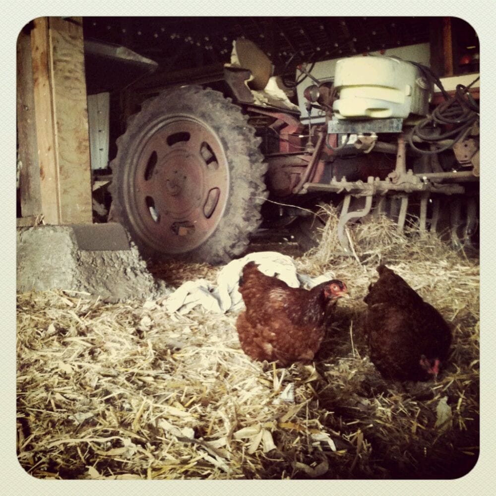 WILLOWOOD FARM 399 S Ebey Rd, Coupeville, WA Yelp