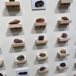 Ewing Gallery of Art + Architecture - Student Art Shows are the best!