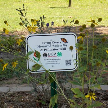 Shamrock Park - garden - Parks Near Me - Tyrone, Georgia Shamrock Park - garden - Parks Near Me - Tyrone, Georgia
