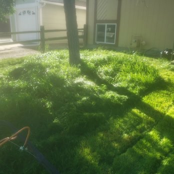 Fastline Handyman Services - Length difference - Lawn Services Near Me Fastline Handyman Services - Length difference - Lawn Services Near Me