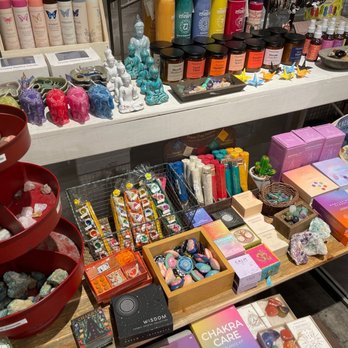 Brookline Booksmith - Solid Selection of Self-Care Products. - Bookstores Near Me - Brookline, Massachusetts