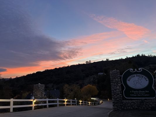 Hounds Tooth Inn by null
