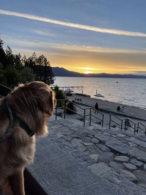 Hotel Azure Tahoe by null