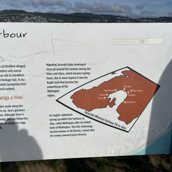 Mount Victoria Lookout - Info about harbor - Local Flavor Near Me - Wellington, WGN