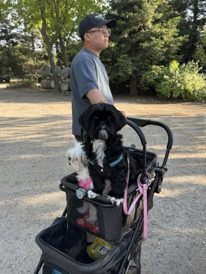 Julietta Winery by null