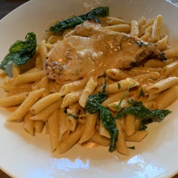 Yard House - Fontina Vodka Penne - Bars Near Me - Pasadena, California Yard House - Fontina Vodka Penne - Bars Near Me - Pasadena, California