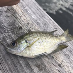 Huguenot Park - Going back in the water