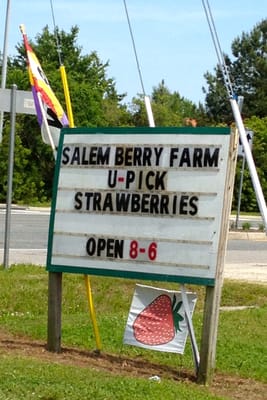 Salem Berry Farm by null