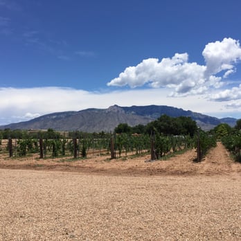 Corrales Winery - It's lovely to look at but I wouldn't send anyone here. Shame. - Wineries Near Me - Corrales, New Mexico