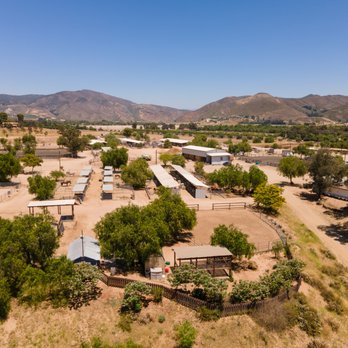 Green Acres Interactive Therapy - Located at Green Acres Ranch in the heart of Temecula Valley - Physical Therapy Near Me - Temecula, California Green Acres Interactive Therapy - Located at Green Acres Ranch in the heart of Temecula Valley - Physical Therapy Near Me - Temecula, California