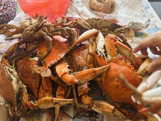 Captain Pell's Fairfax Crabhouse by null