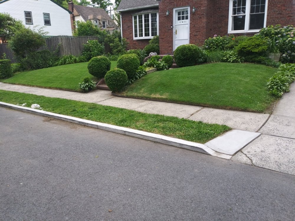 OSCAR ABARCA LANDSCAPING SERVICE Updated July 2024 23 Photos 147