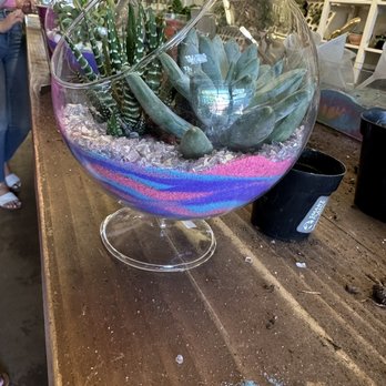 Jade & Clover - Nurseries & Gardening Near Me - Phoenix, Arizona