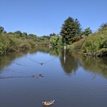 Neary Lagoon - Parks Near Me - Santa Cruz, California Neary Lagoon - Parks Near Me - Santa Cruz, California
