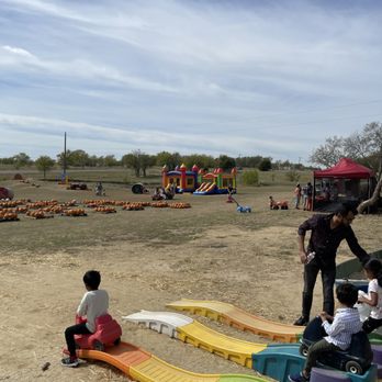 COBBINS FAMILY PUMPKIN PATCH - Updated September 2025 - 13 Photos - 1926  Milam Rd E, Sanger, Texas - Pumpkin Patches - Phone Number - Yelp