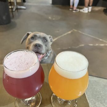 Unsung Brewing Company - Breweries Near Me - Anaheim, California Unsung Brewing Company - Breweries Near Me - Anaheim, California