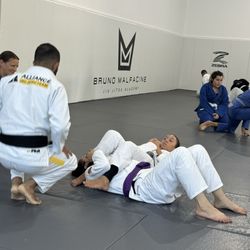 Alliance Jiu Jitsu  Bruno Malfacine