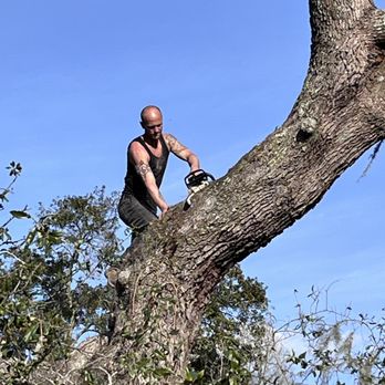 Legs-N-Limbs Tree Service - Tree Services Near Me Legs-N-Limbs Tree Service - Tree Services Near Me