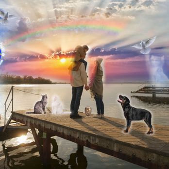 Resting Rainbow - Rainbow bridge - Pet Cremation Services Near Me - Deerfield Beach, Florida Resting Rainbow - Rainbow bridge - Pet Cremation Services Near Me - Deerfield Beach, Florida