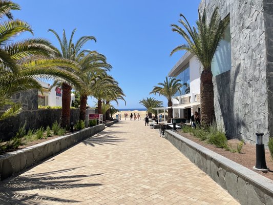 Dunas de Maspalomas by null