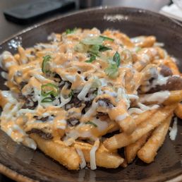 Bulgolgi fries,  nice sauce flavor, not that much meat