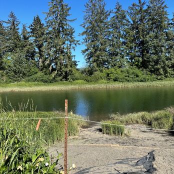 Riverside Fish n' Chips - Food Trucks Near Me - Nehalem, Oregon Riverside Fish n' Chips - Food Trucks Near Me - Nehalem, Oregon